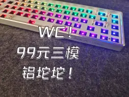 Descargar video: WC！99元三模铝坨坨!  狼蛛f3168