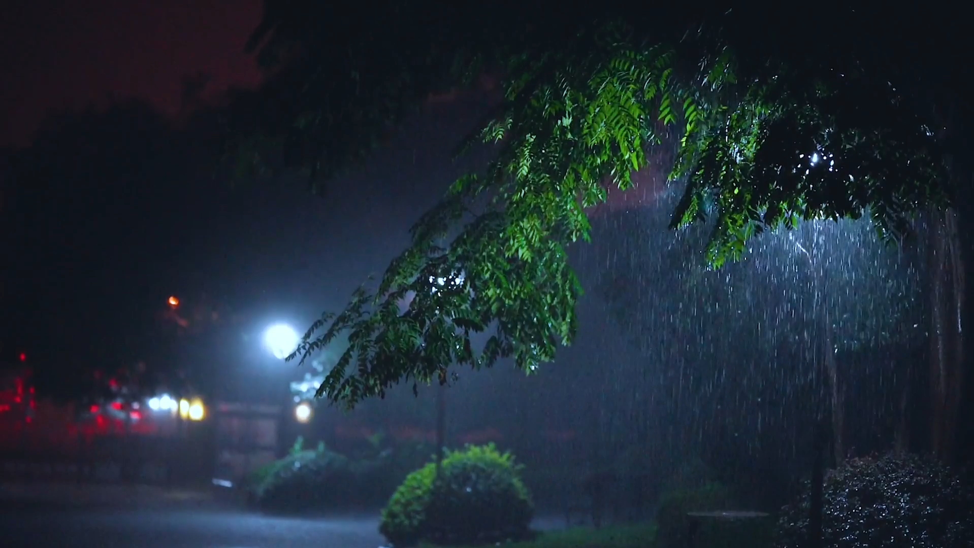 [图]夜半听雨