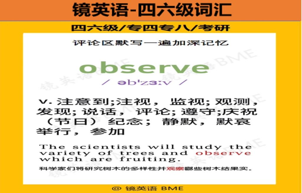 【镜英语】每日一词observe哔哩哔哩bilibili