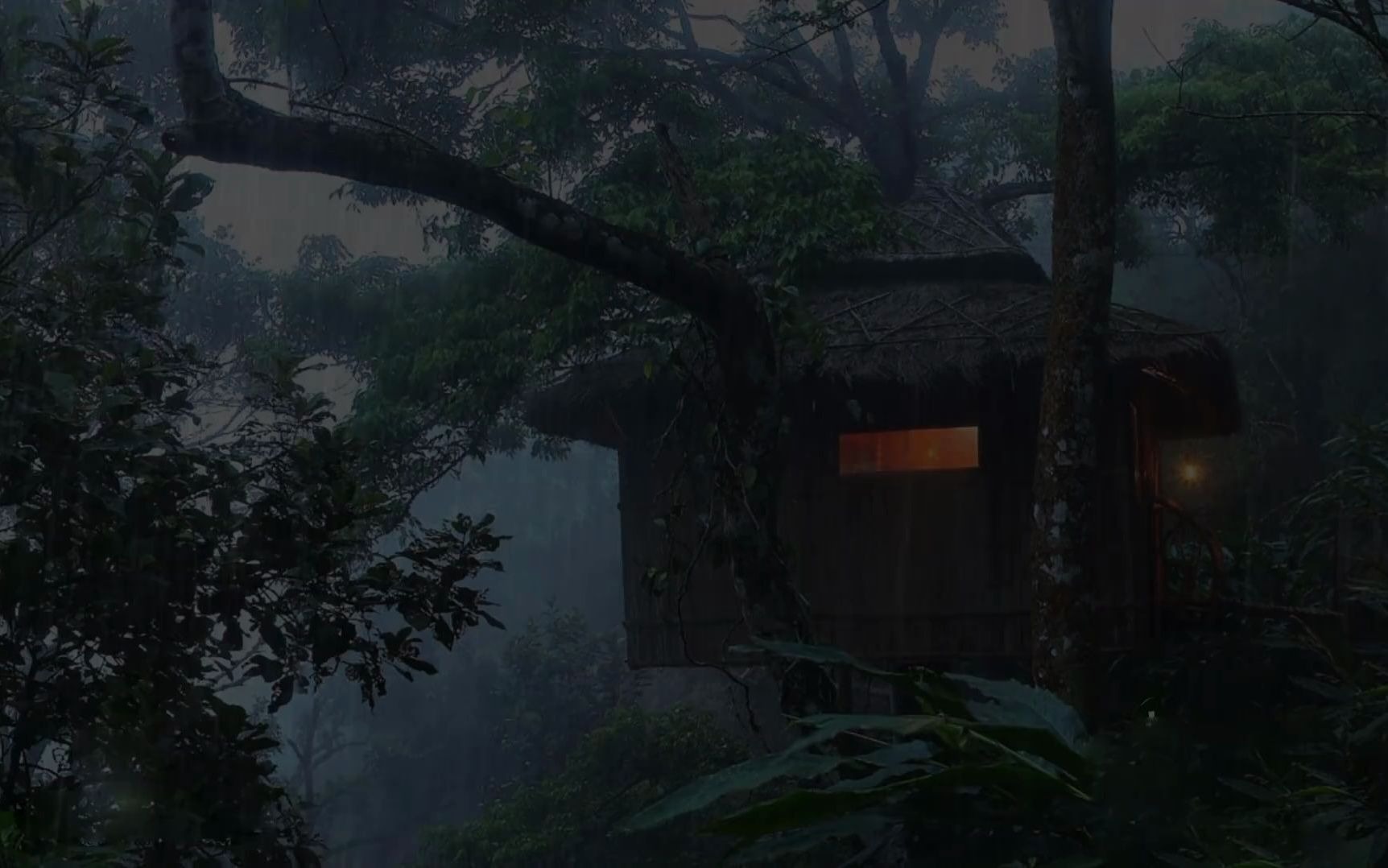 [图]迷霧森林中的暴雨聲和雷暴雨的聲音。 - 打雷下雨的有助睡眠 清除負能量冥想-靜心，深層睡眠，舒緩，療癒，