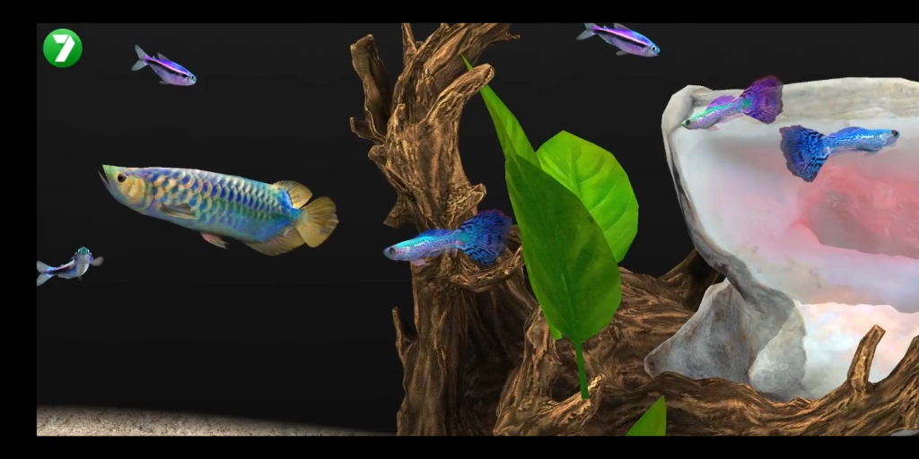 养鱼场3 观赏鱼 龙鱼 幻彩龙鱼 孔雀鱼 霓虹灯 剑尾 看官们,请享用吧.