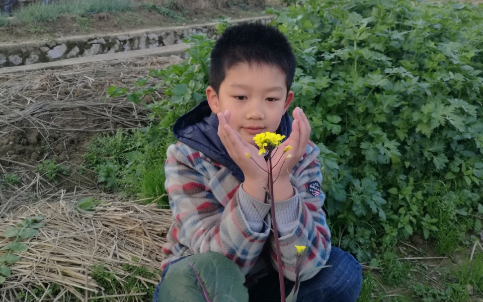 [图]《晓出净慈寺送林子方》（南宋.杨万里）