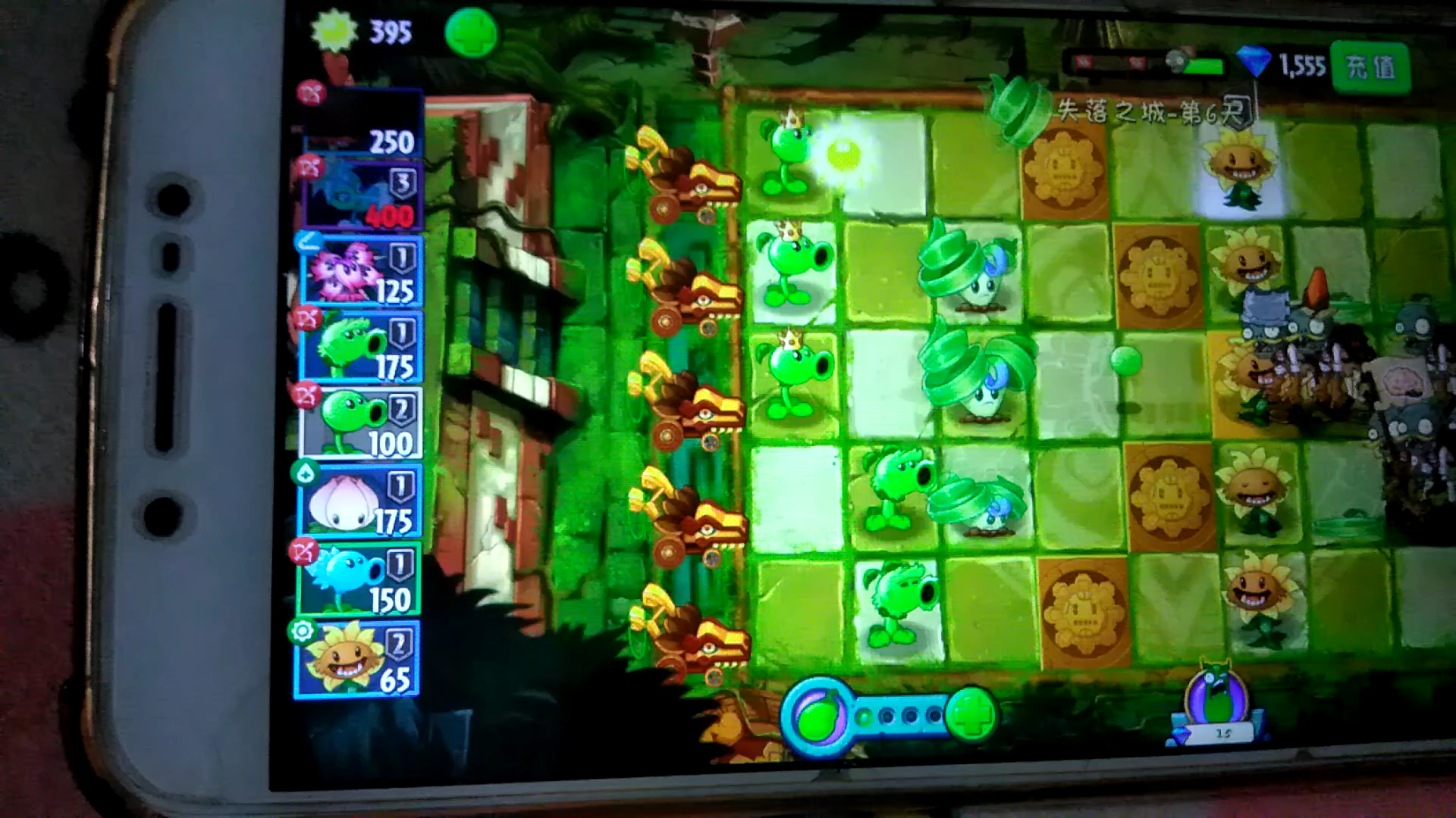 老师我家阿开木木怎么变成公主弹簧草了