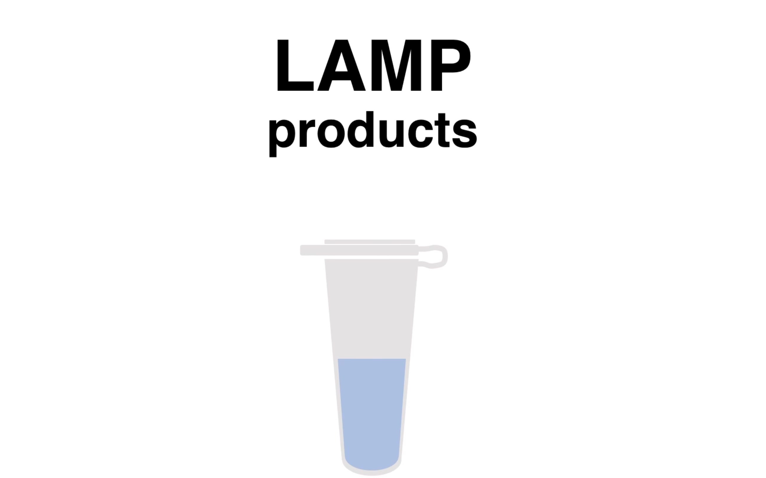 「Principle」环介导等温扩增技术为什么牛 Loopmediated isothermal amplification (LAMP principle)哔哩哔哩bilibili