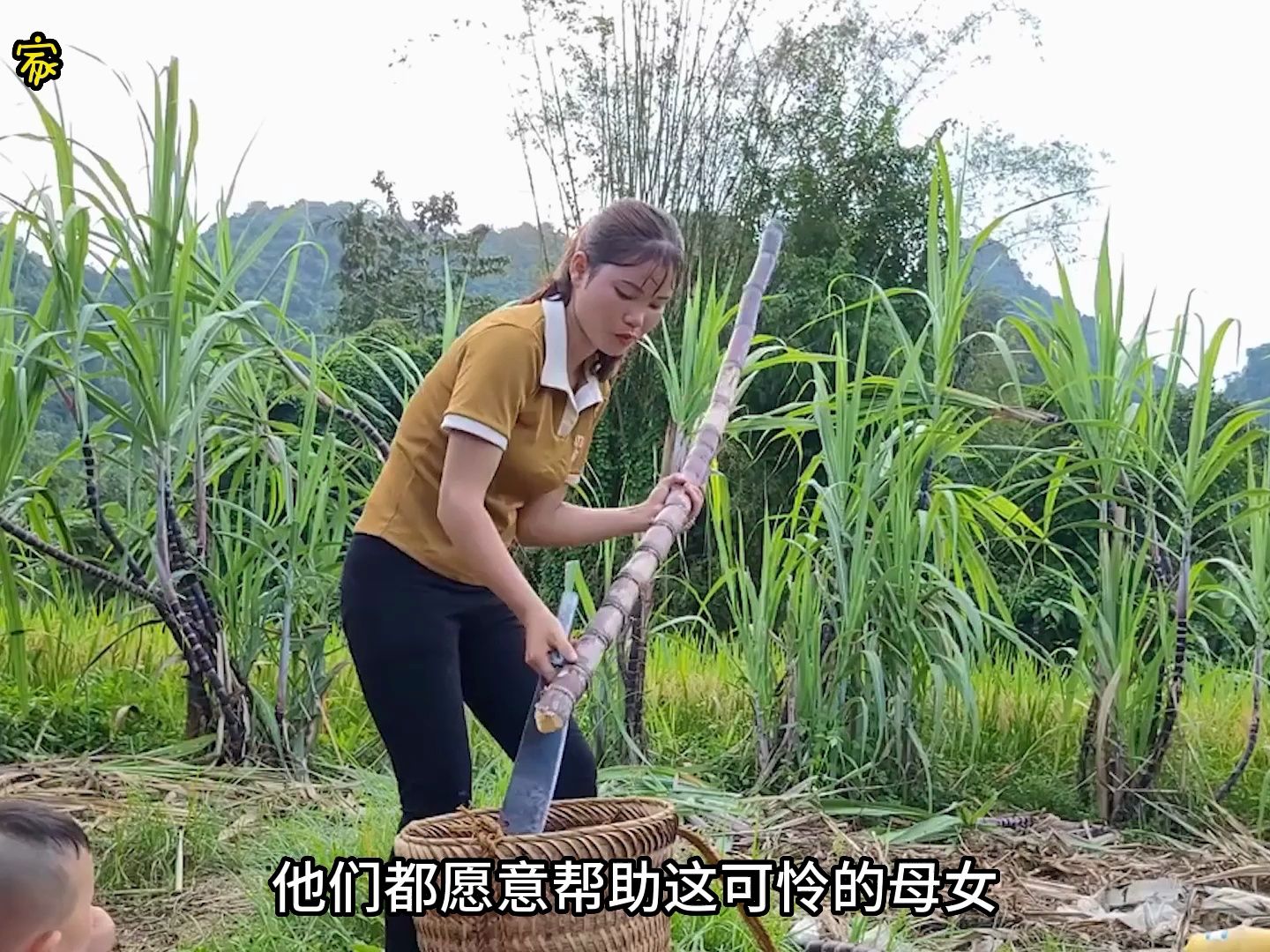 翠花不太脆个人照图片