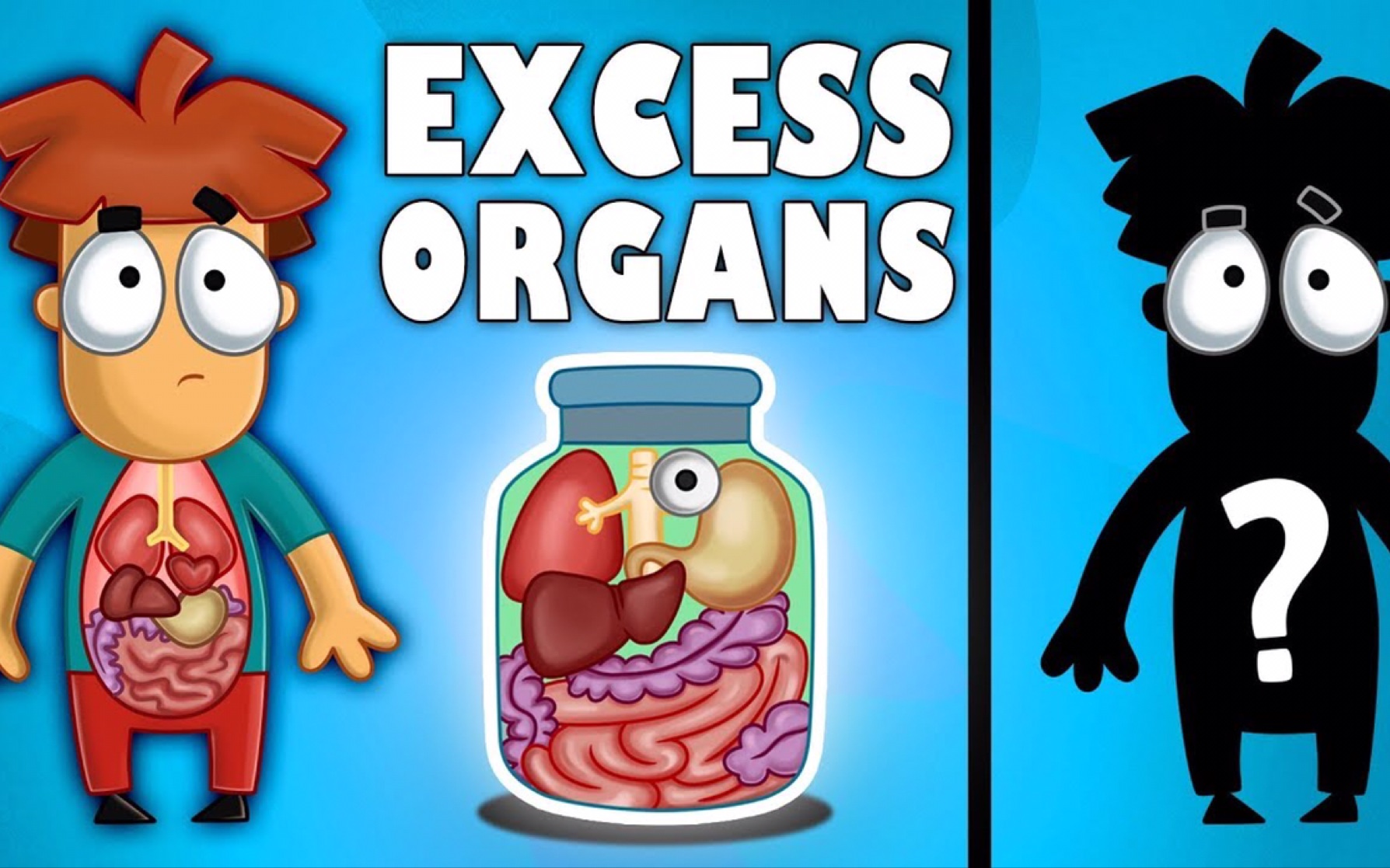 【遇见阿诺】第三十一集:如果切除这5个器官你会怎么样?