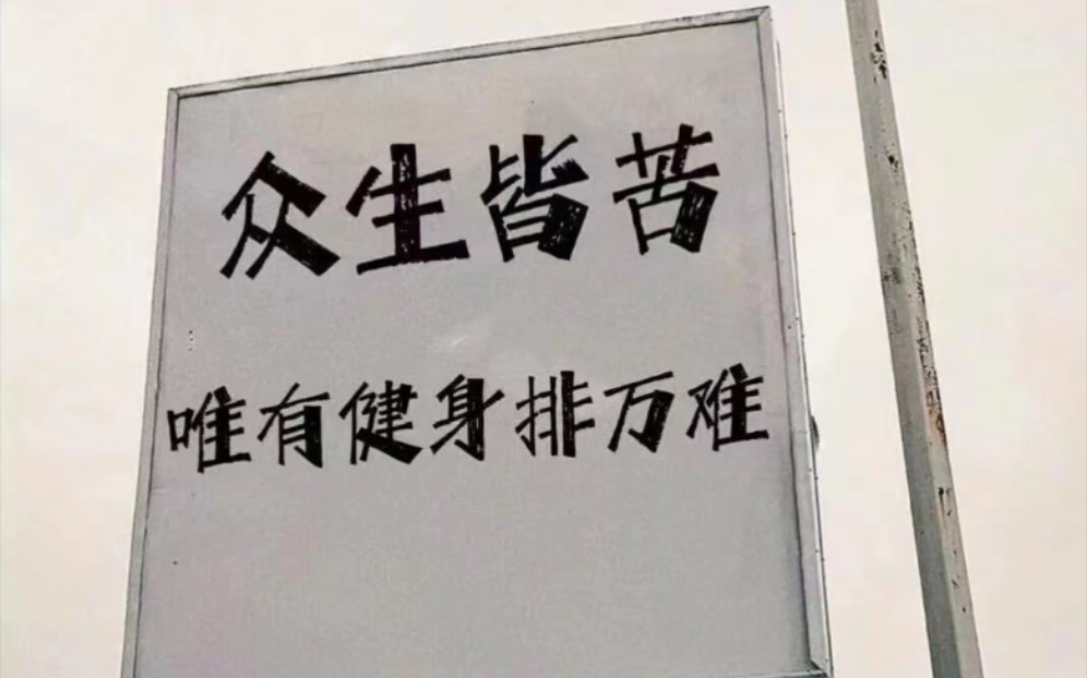今日摆个烂!_哔哩哔哩_bilibili
