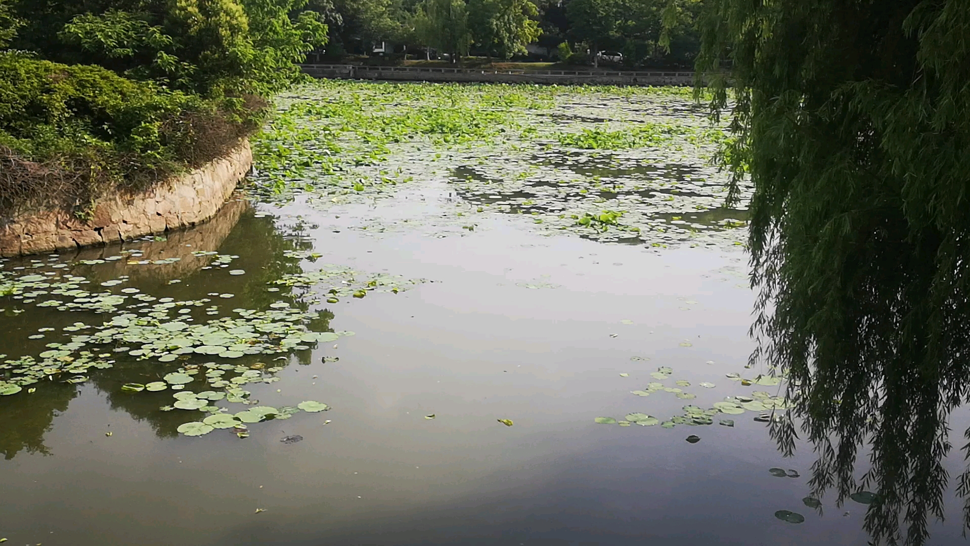 苏州石湖景区 速写哔哩哔哩bilibili