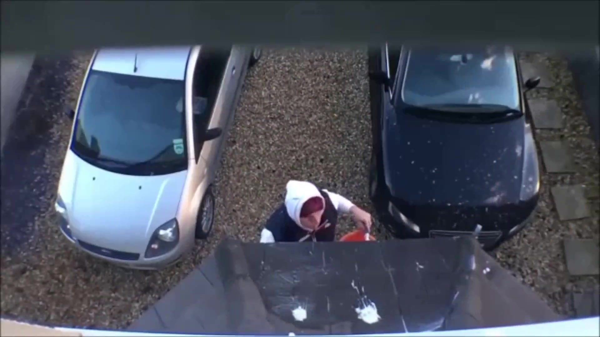 ben的整人计划 肥大鸽子屎的威力