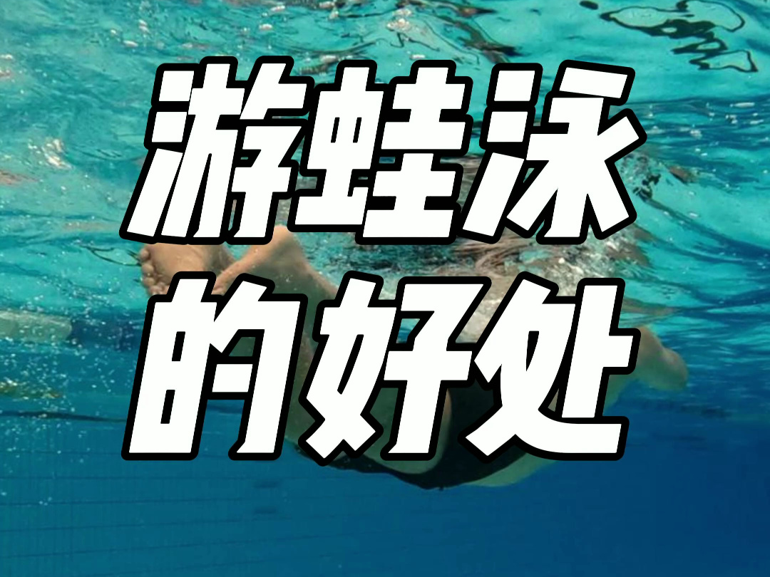 游蛙泳的好处哔哩哔哩bilibili