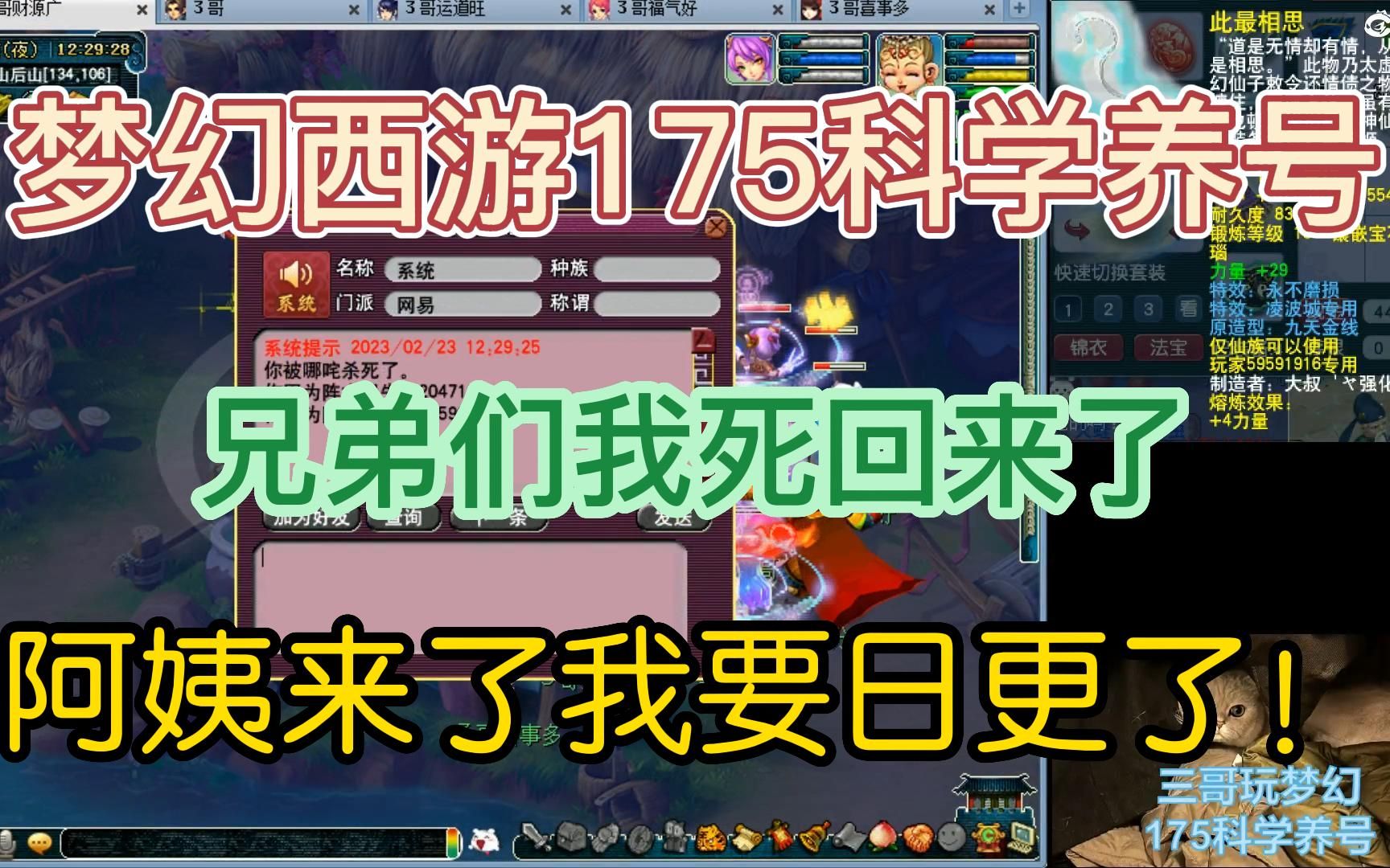 梦幻西游175科学养号 兄弟们我死回来了 阿姨来了我要日更了!!!哔哩哔哩bilibili