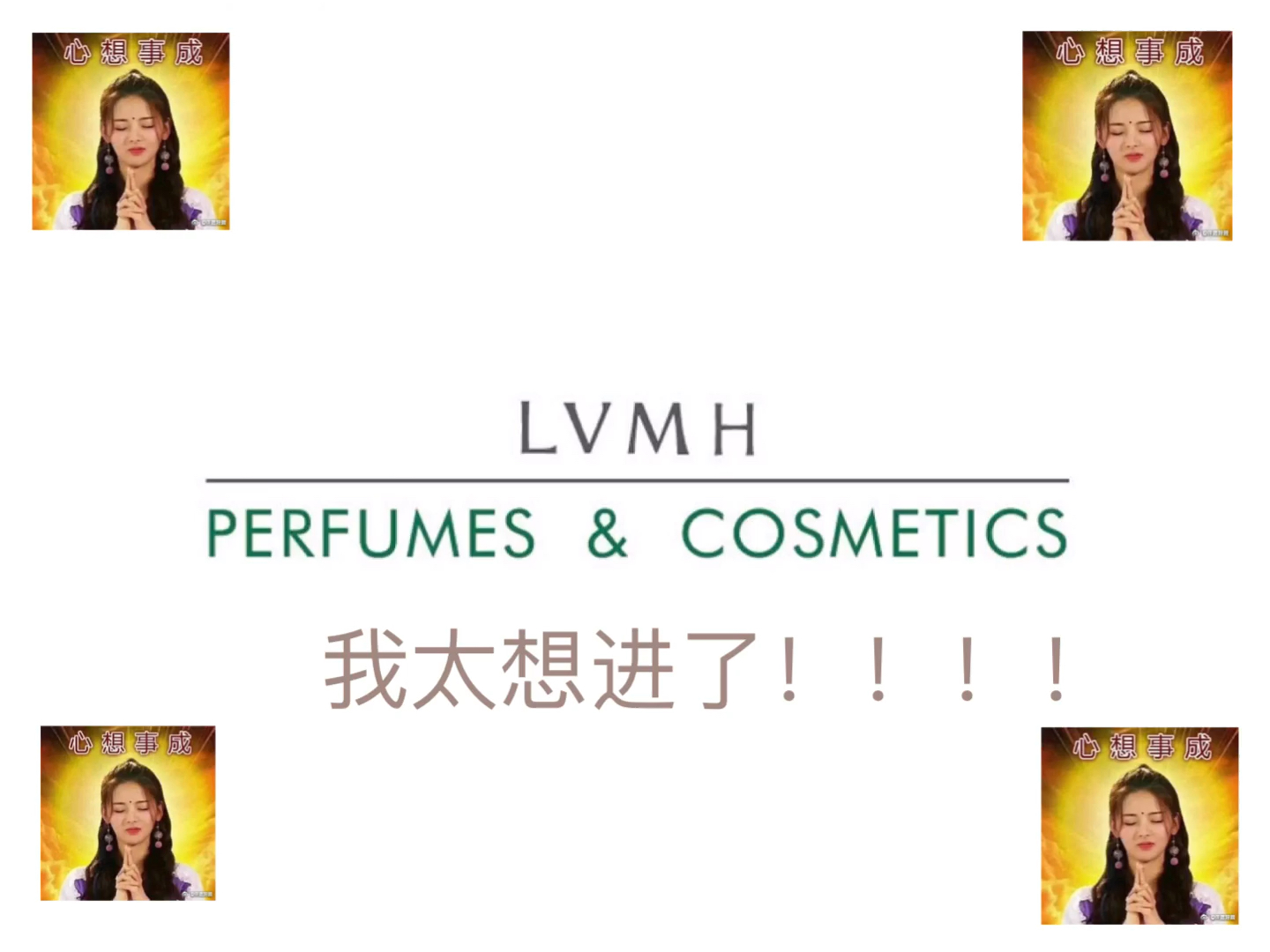 奢饰品公司,Lvmh!!!申请管培生,我太可了!!!哔哩哔哩bilibili