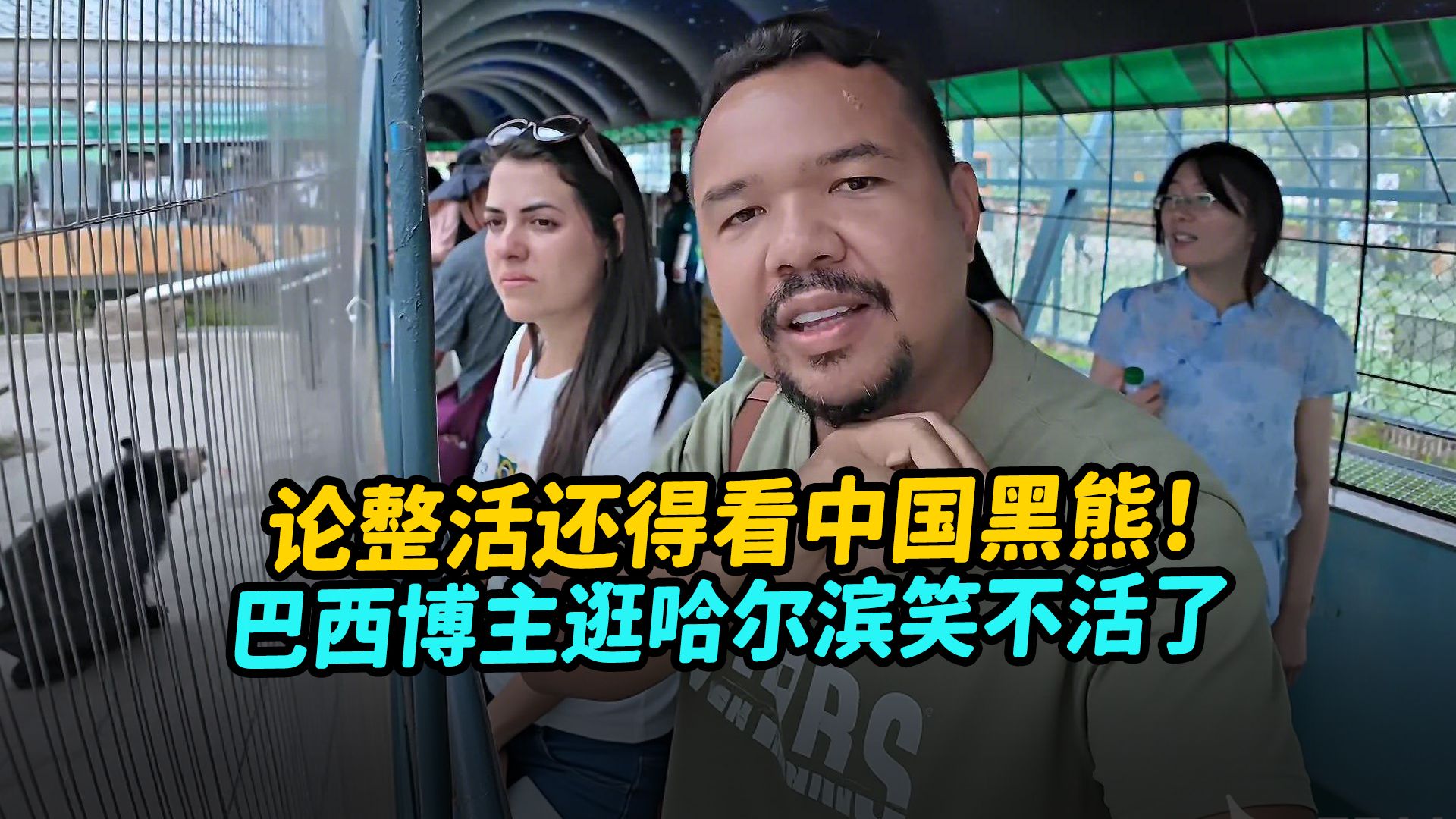 论整活还得看中国黑熊！老外逛哈尔滨野生动物园，看到这一幕笑不活了