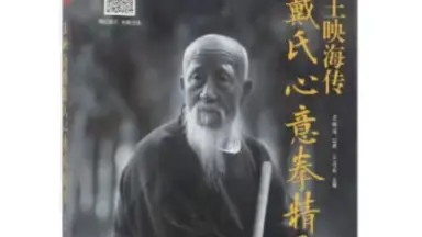 戴氏心意拳-哔哩哔哩_Bilibili