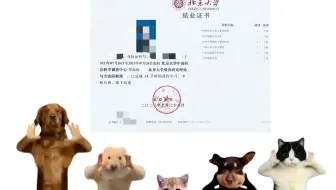 欢迎参加北京大学因果推断研修班