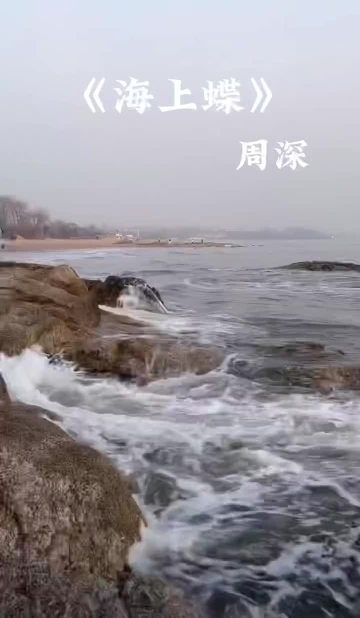 看海歌曲(看海歌曲舞蹈视频教程)