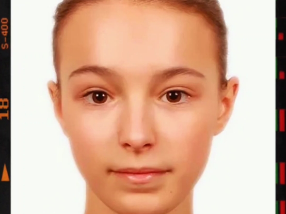 面部线条流畅,左右脸一致,精致立体,精灵耳.