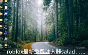 Download Video: roblox pc 注入器salad复活