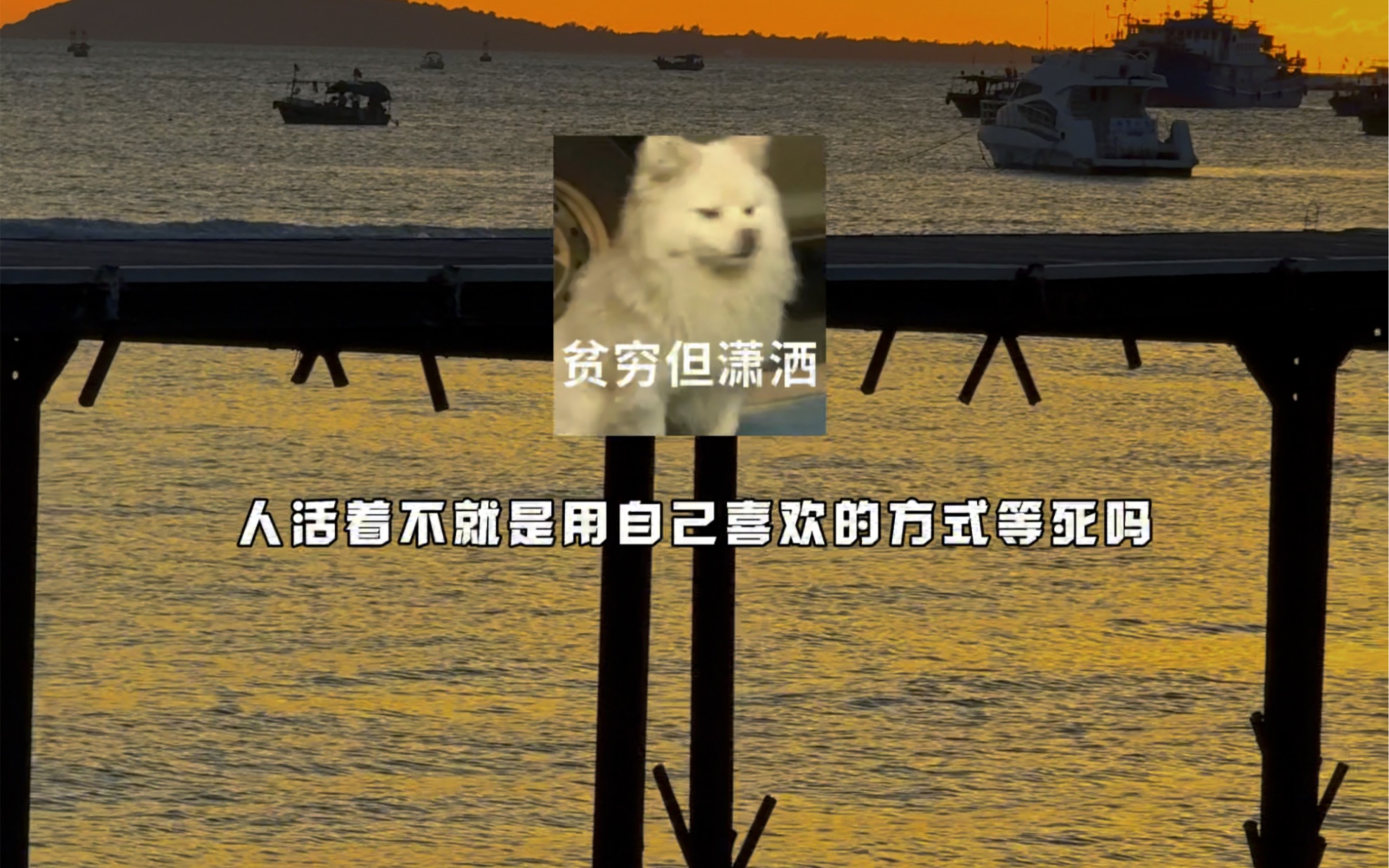 没出息没关系啊,还有气息就已经很厉害了!
