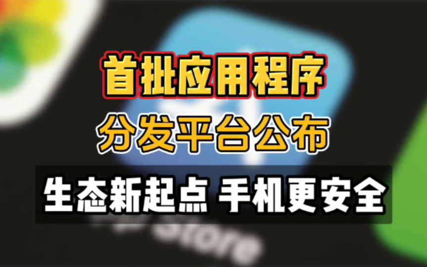 首批应用程序分发平台公布,应用生态新起点,手机更安全!哔哩哔哩bilibili