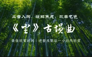 Download Video: 『五音疗疾精选』土音入脾，安稳身心，缓解紧张焦虑，改善气色，助益睡眠，祛湿减肥，虚胖失眠焦虑消化不良可多听用《尘》