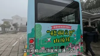 Download Video: 深圳梧桐山顶开通公交了#公共交通 #登山 #公交 #梧桐 #旅行推荐官