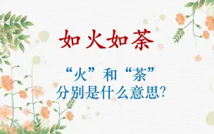 Télécharger la video: 每天一个成语|如火如荼（省流）