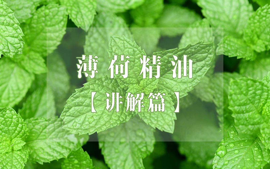 【精油分享】和小佰重新认识一下薄荷精油吧哔哩哔哩bilibili