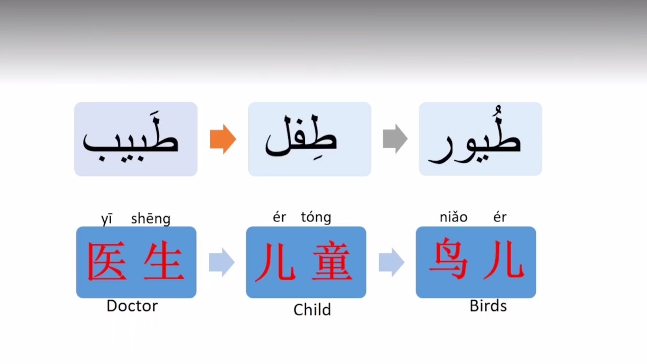 阿拉伯语字母哔哩哔哩bilibili