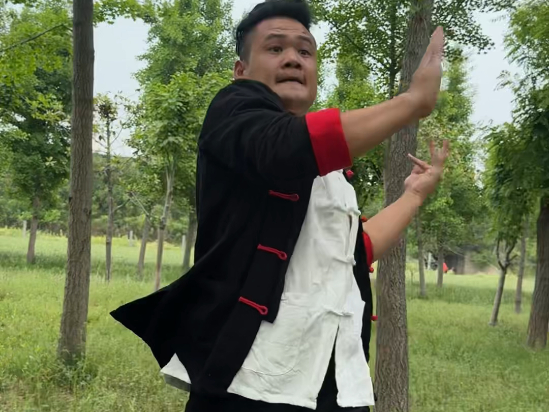 来一段少林传统小洪拳望大家喜欢