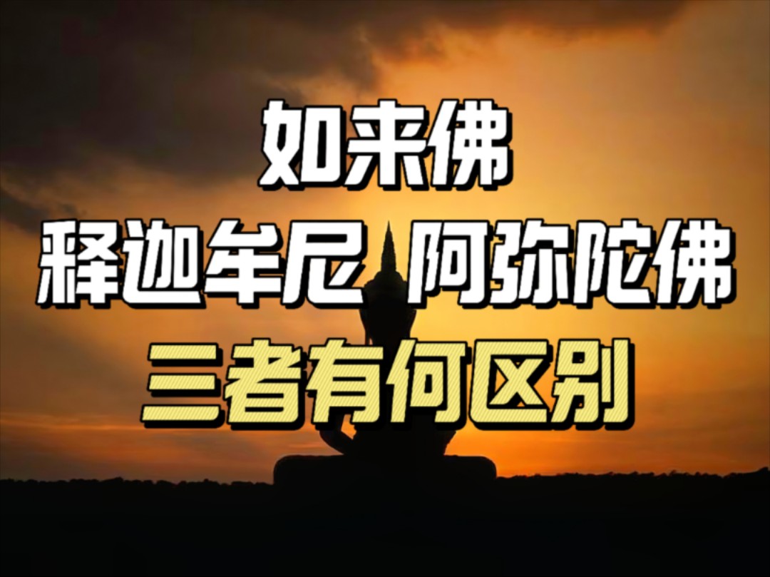 一次搞懂如来佛,阿弥陀佛,释迦牟尼三者的联系与区别哔哩哔哩bilibili