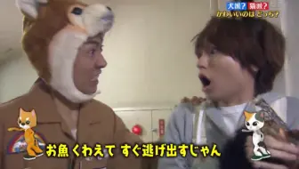 Hey Say Jump 天才志村动物园犬派vs猫派cut 标清生肉 哔哩哔哩 Bilibili