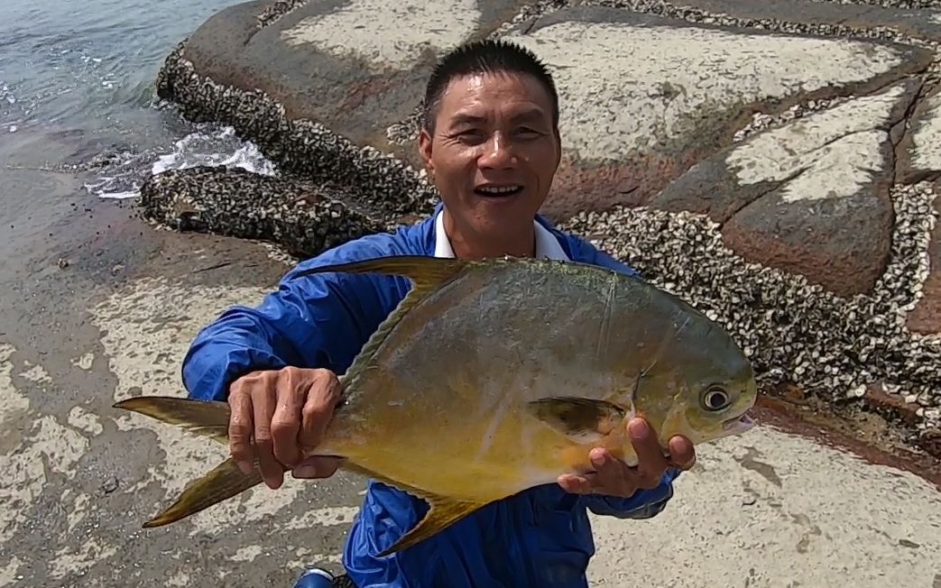 阿文两兄弟联手赶海,几经尝试果然抓到大货,一只手都难提得起来