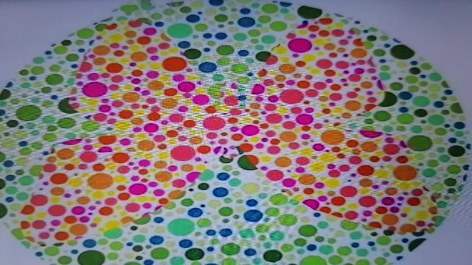 公务员体检色盲测试,蝴蝶飞呀飞眼睛花呀花花,真的不容易