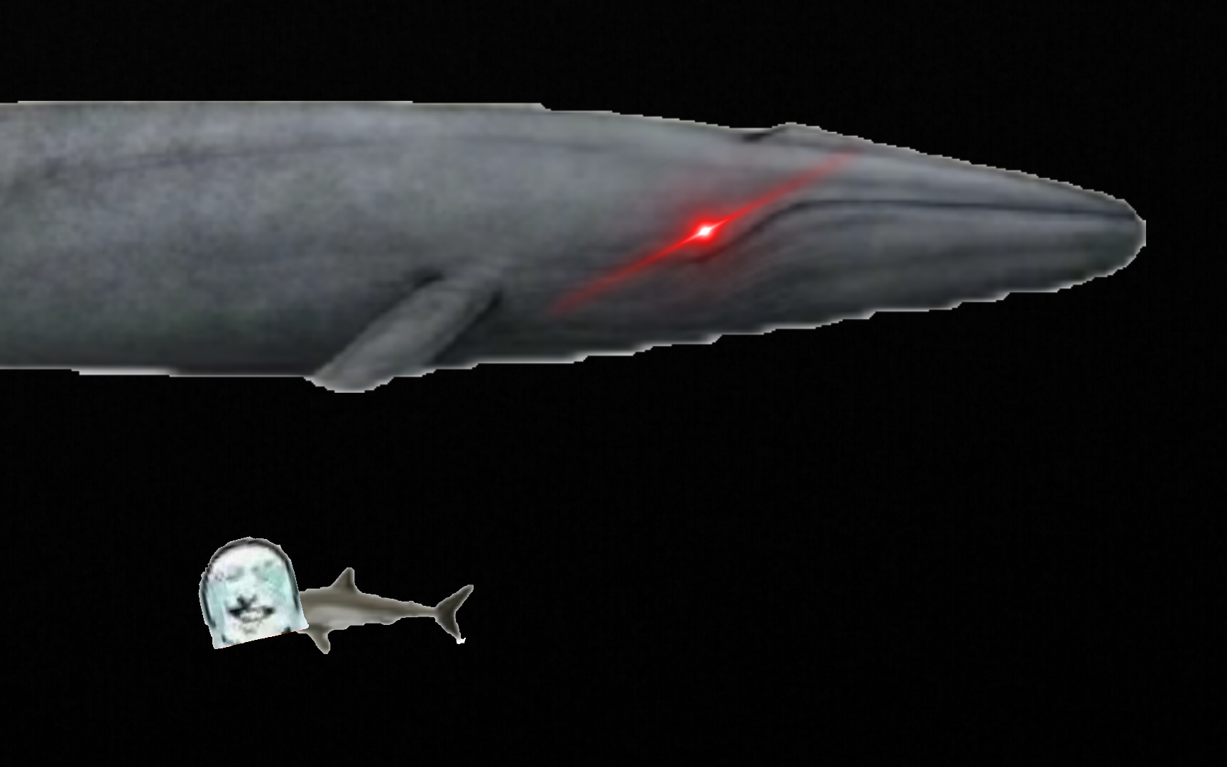 蓝鲸与各种动物大小对比