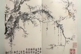 Video herunterladen: 画苑掇英·金农梅花册两种 太漂亮了