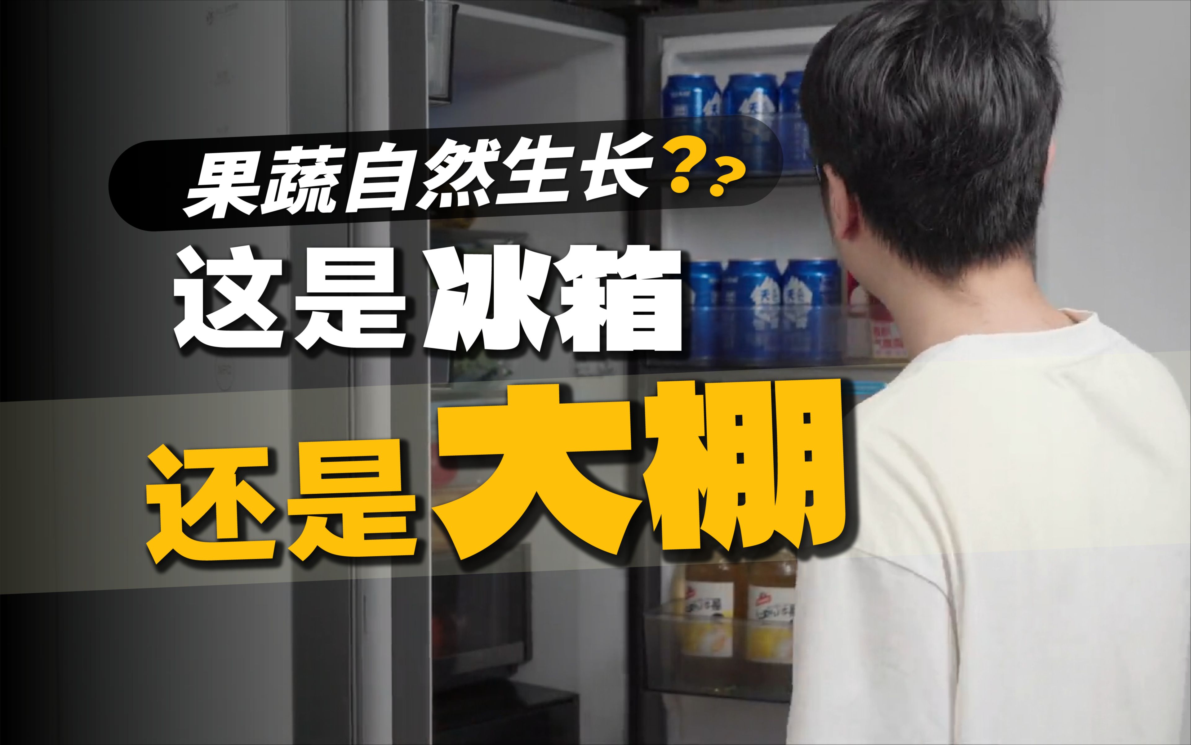 这是一支让强迫症全程舒适的视频,容声560WILL养鲜平嵌冰箱体验哔哩哔哩bilibili