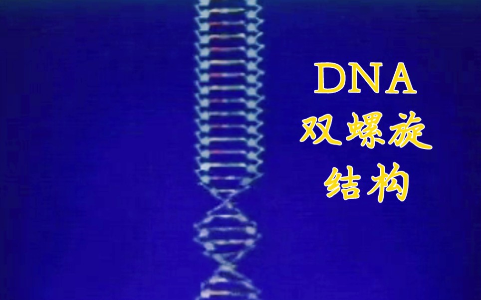 DNA 双螺旋哔哩哔哩bilibili