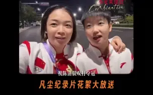 下载视频: （胖莎/阵营）关于樊振东为什么点赞贾一凡的vlog及十周年纪念片解析（研究生视角）。