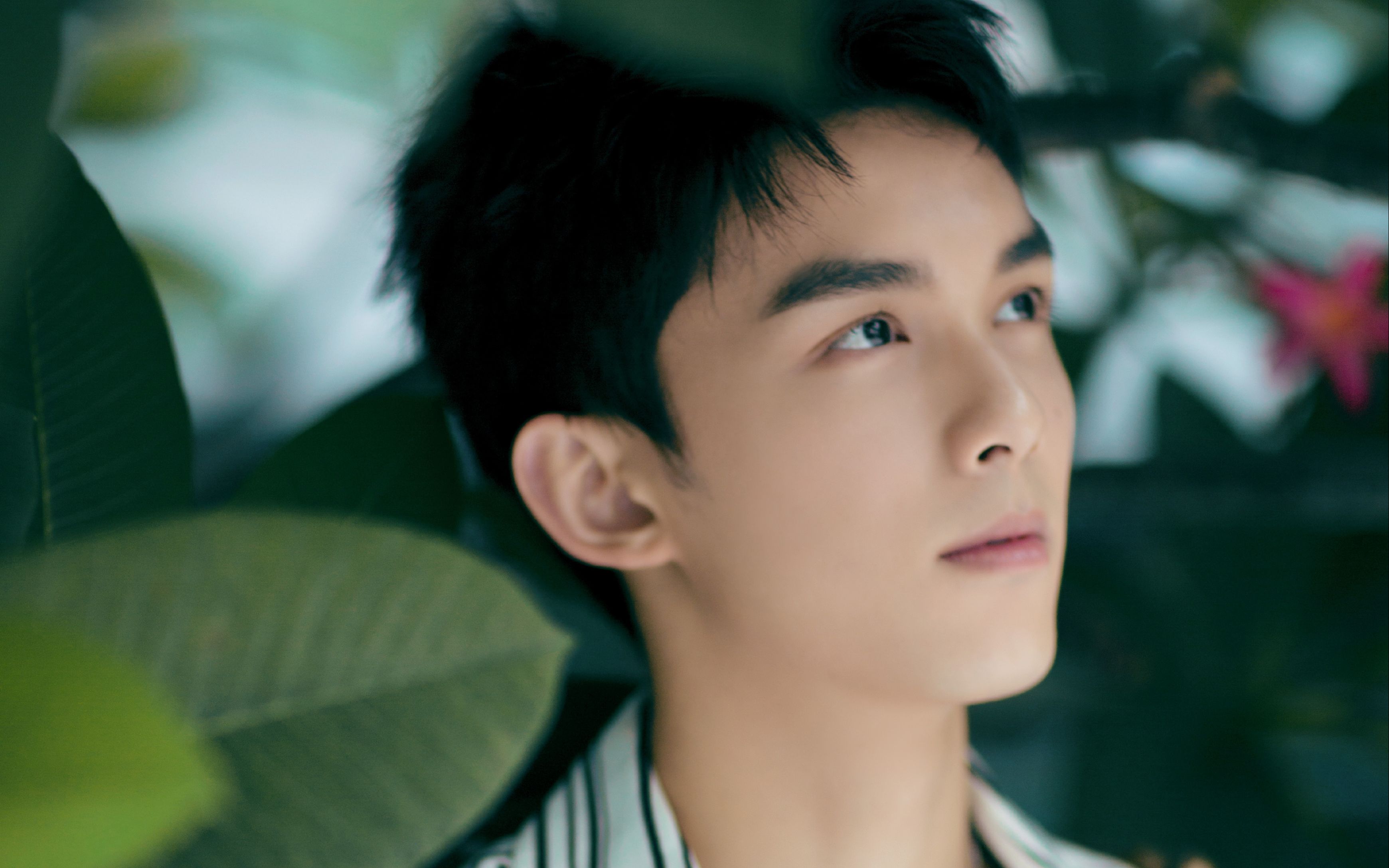 长歌行 吴磊 迪丽热巴 你瞧,cp感这不就来了吗