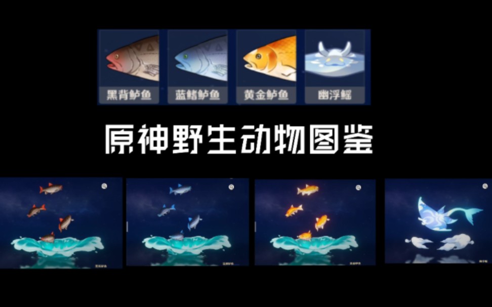 原神生物志野生动物图鉴收集 游鱼篇1哔哩哔哩bilibili