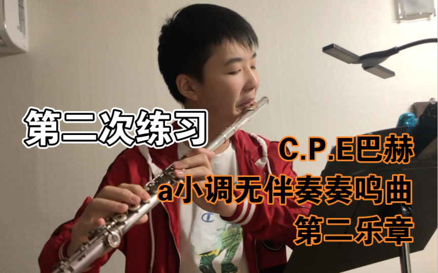 [图]【长笛日常练习】C.P.E Bach-a小调无伴奏奏鸣曲Flute Sonata in a Minor WQ.132 H.562-II.Allegro