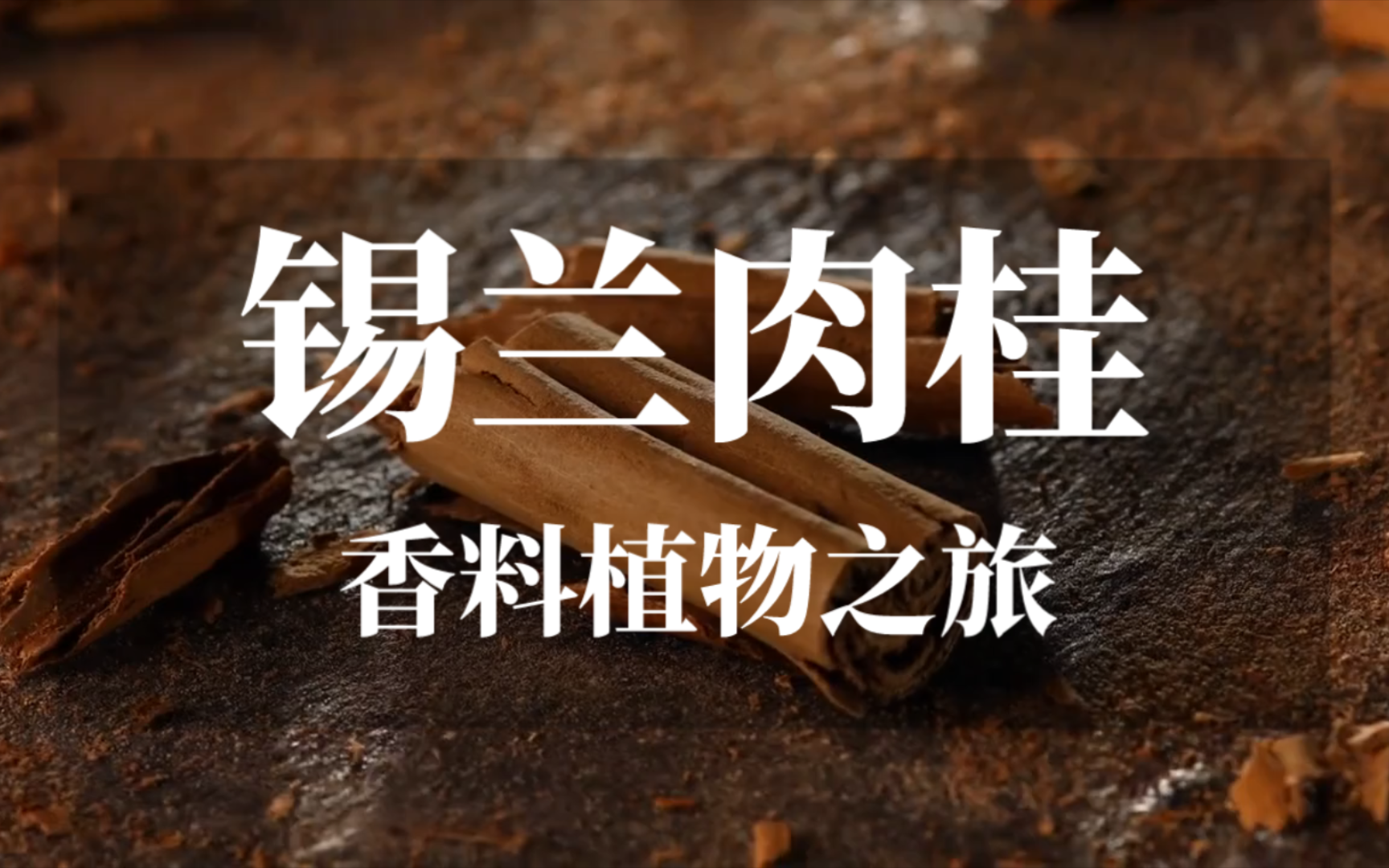 香料植物之旅!锡兰肉桂!