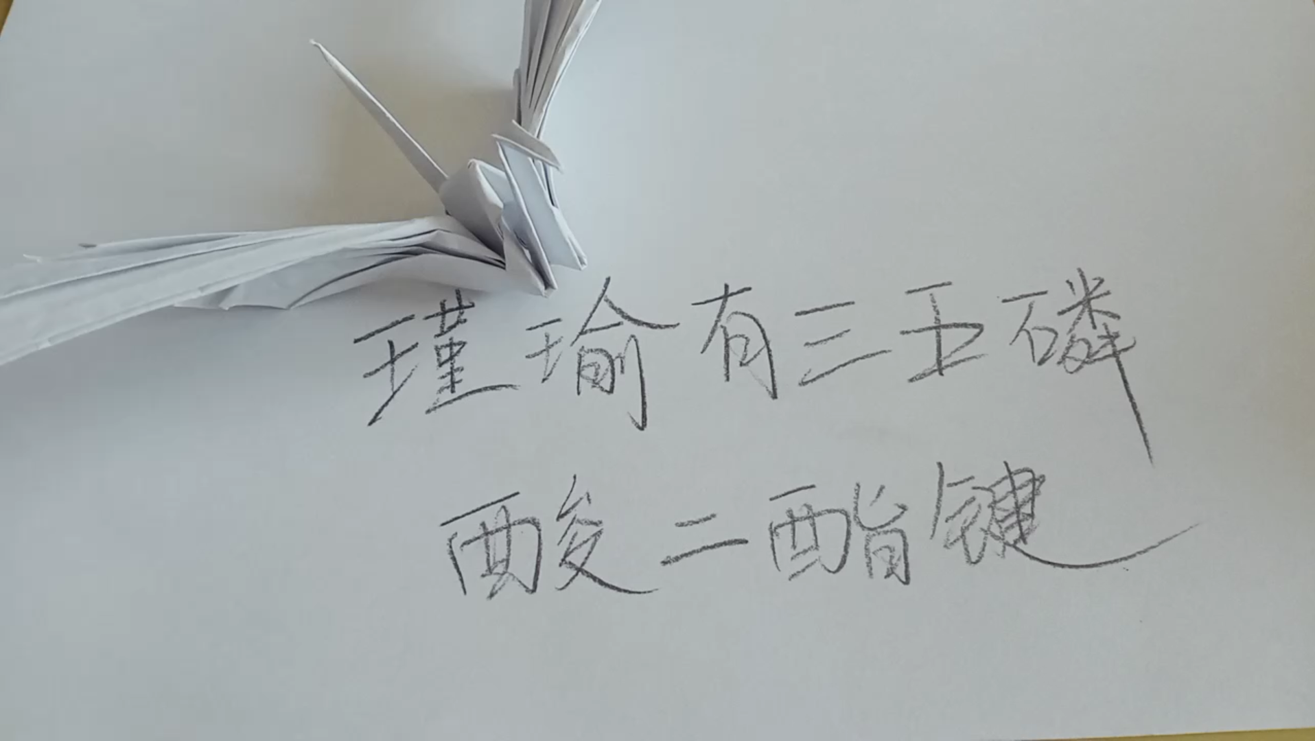 终于动手做了一次真正意义上的折纸瑾瑜有三五磷酸二酯键失踪人口回归