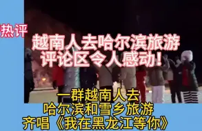 Descargar video: 一群越南人去哈尔滨和雪乡旅游！越南网友评论让人感动！