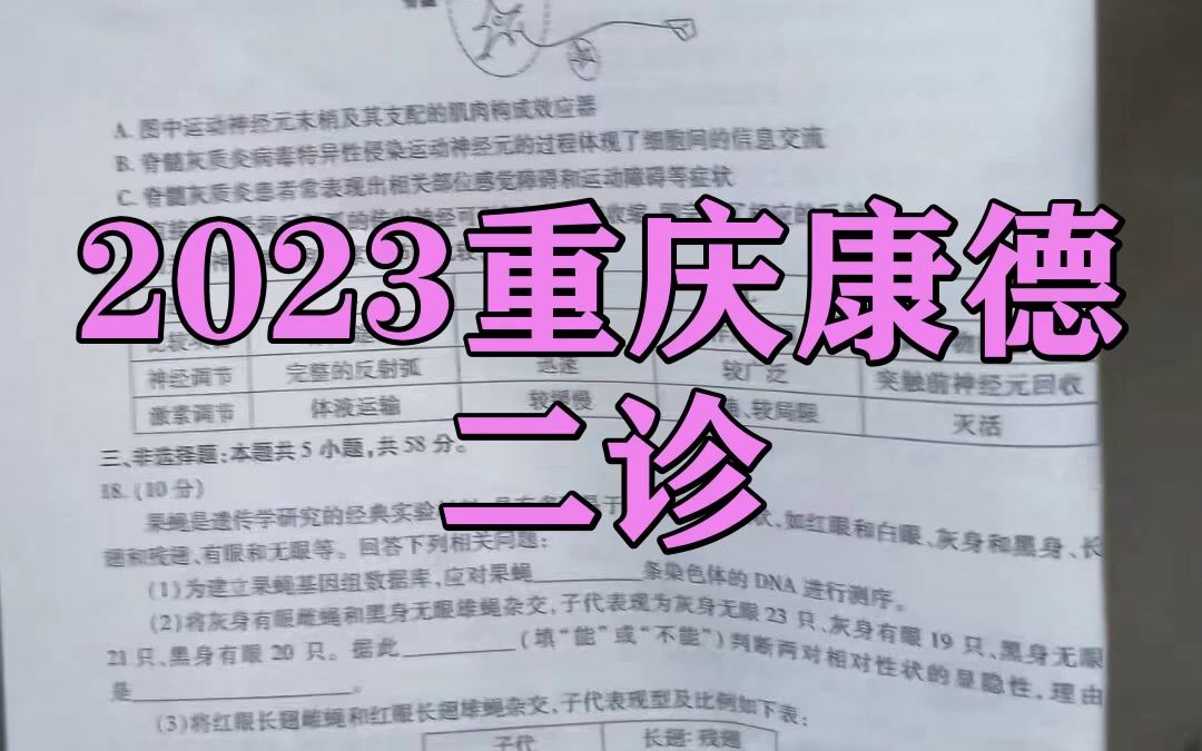 2023重庆康德二诊!政治英语等科提前汇总更新咯哔哩哔哩bilibili