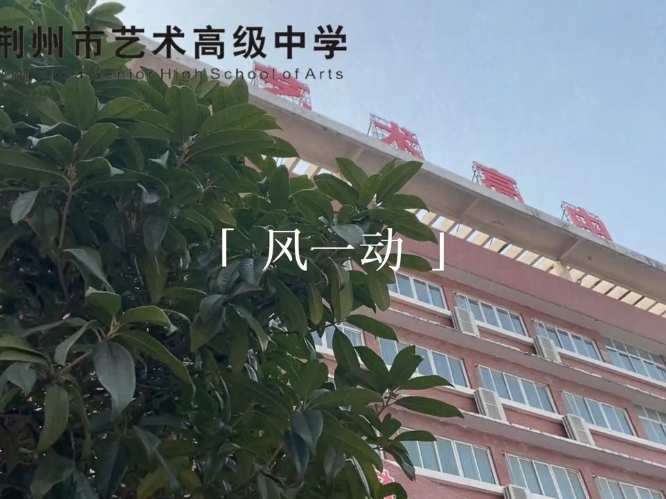 荆州艺术高级中学图片