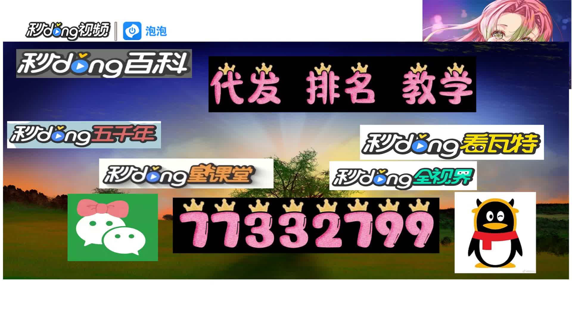 一分钟介绍〕百家号快速百度排名