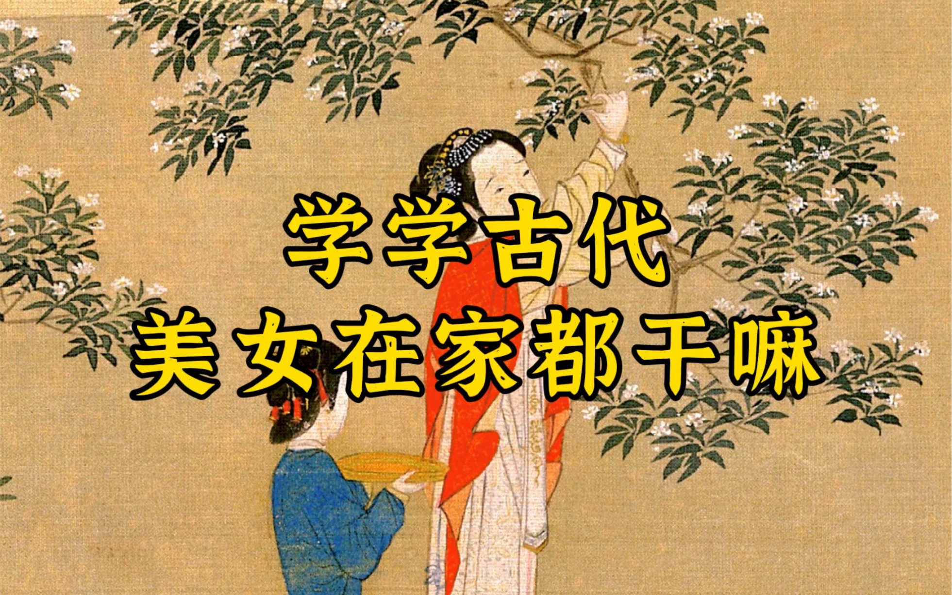 来看看古代美女的一天,看完我都想穿越了~哔哩哔哩bilibili