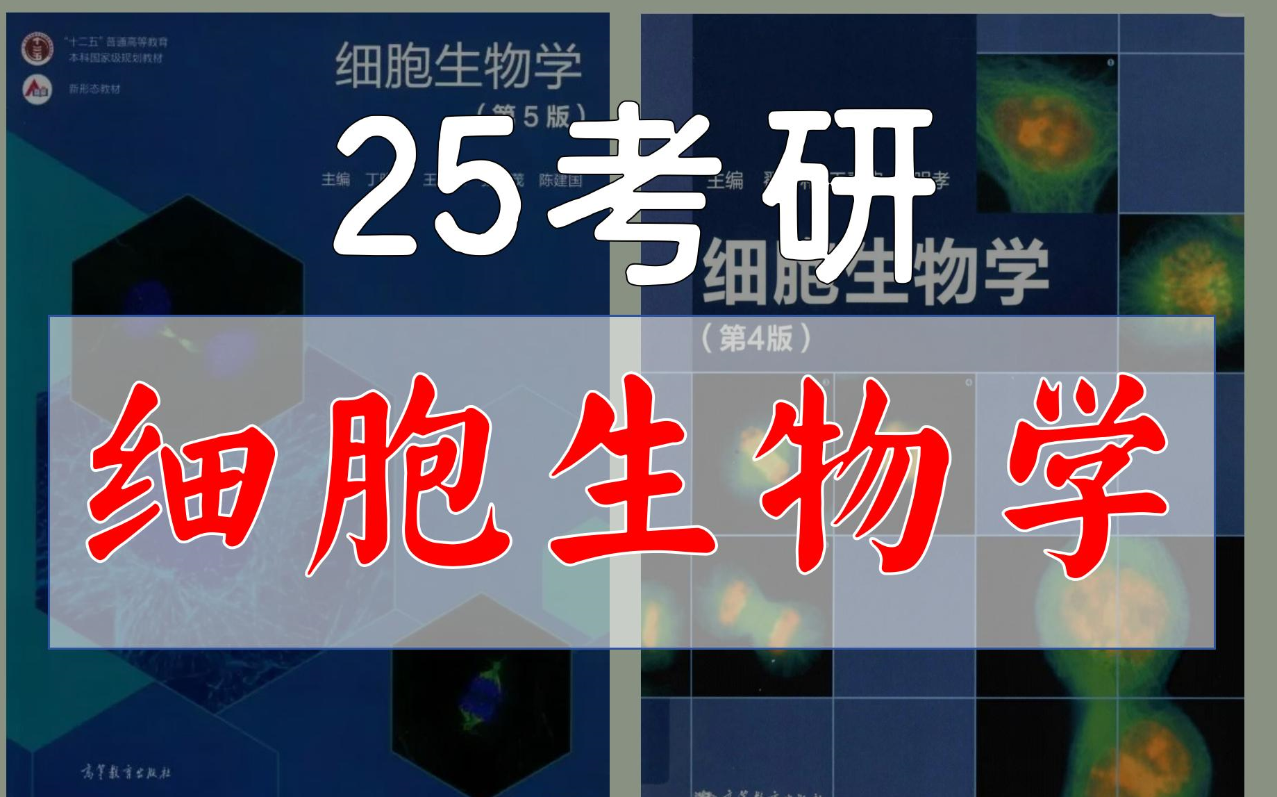 【完结】25求臻考研细胞生物学翟中和细胞生物学考研丁明孝哔哩哔哩bilibili